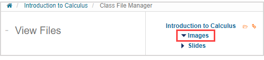 A folder name is highlighted in the View Files pane of the Class File Manager.
